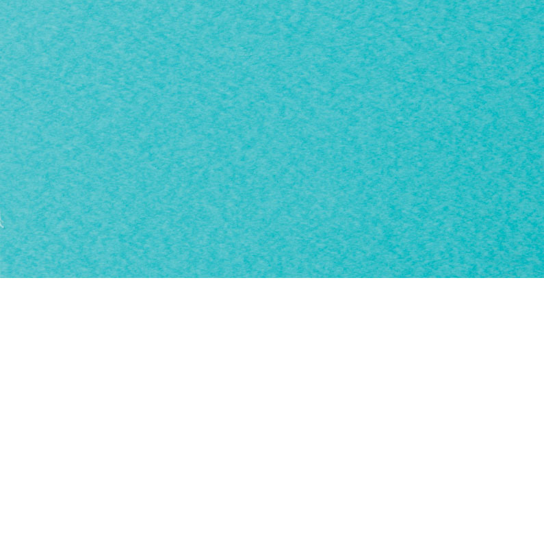 Berlin Gardens Finish: Aruba Blue On White Berlin Gardens Finish: Aruba Blue On White