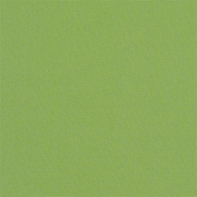 Berlin Gardens Color: Canvas Ginkgo Berlin Gardens Color: Canvas Ginkgo