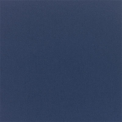 Berlin Gardens Color: Canvas Navy Berlin Gardens Color: Canvas Navy