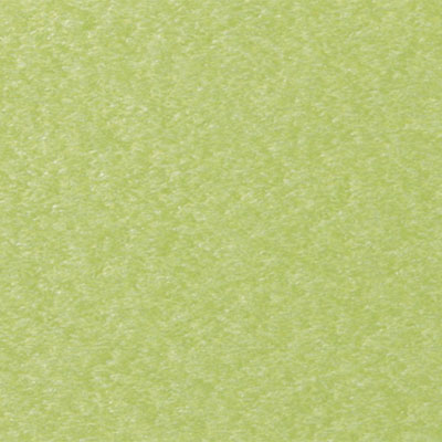 Berlin Gardens Finish: Kiwi Green Berlin Gardens Finish: Kiwi Green