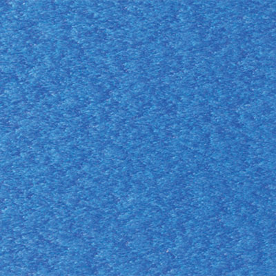 Berlin Gardens Finish: Pacific Blue Berlin Gardens Finish: Pacific Blue